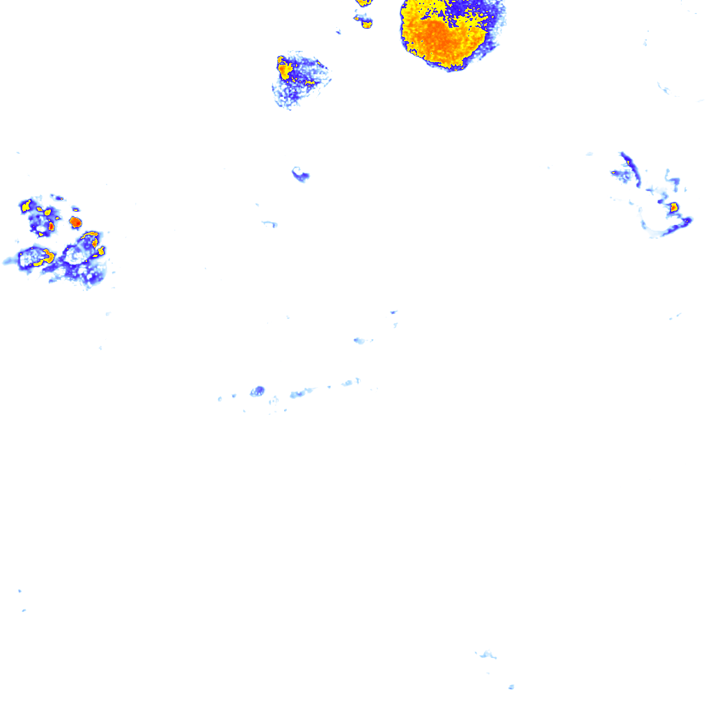 Image Layer