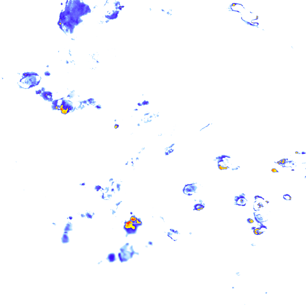 rainLayer