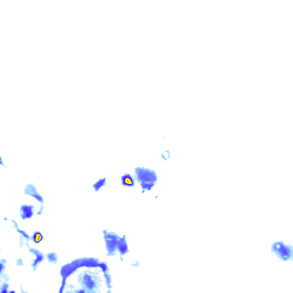 rainLayer