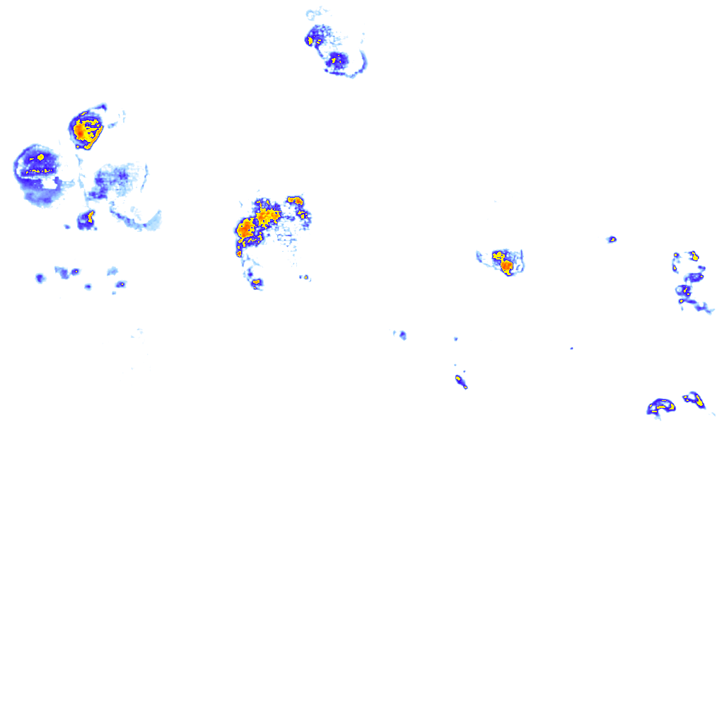 rainLayer
