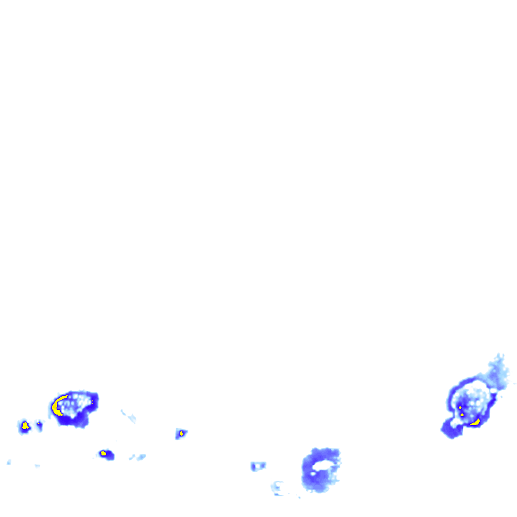 rainLayer