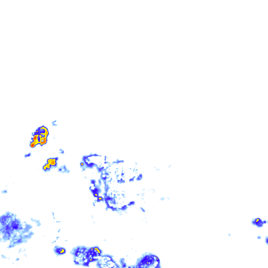 rainLayer