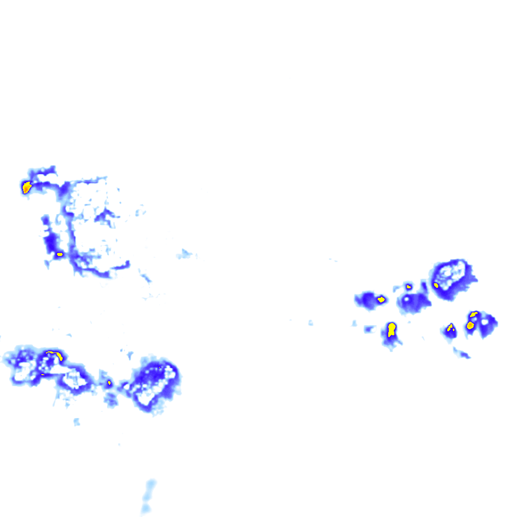 rainLayer