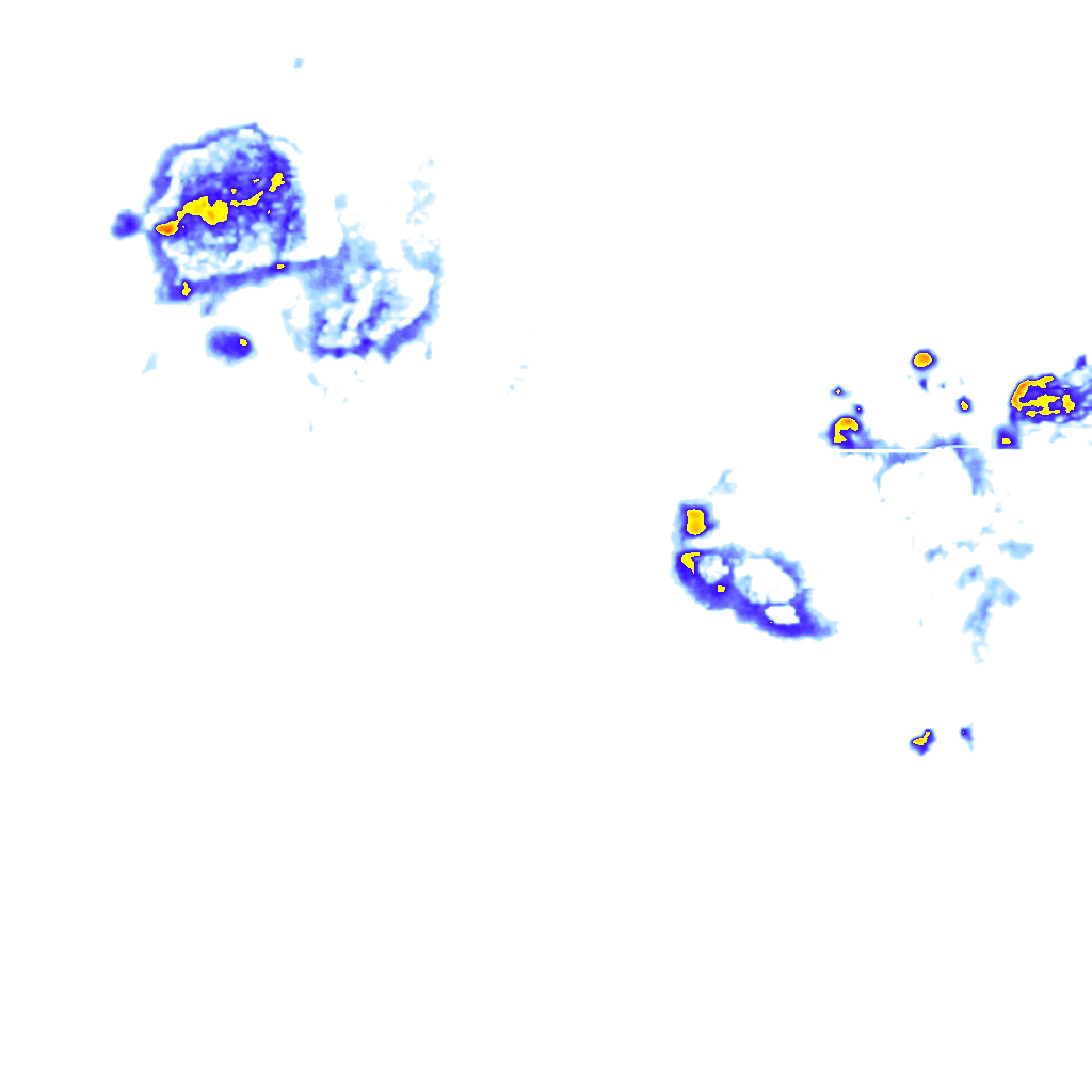 Image Layer