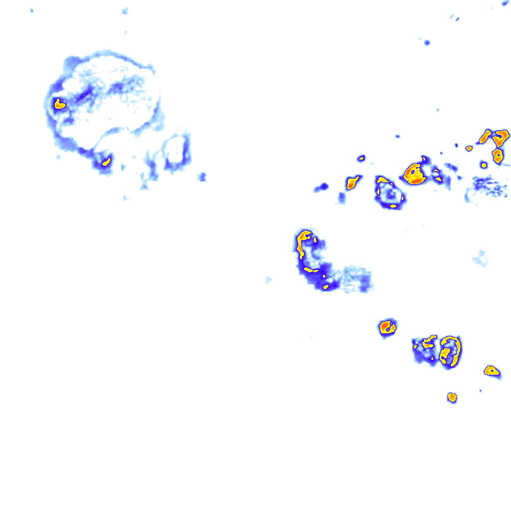 Image Layer