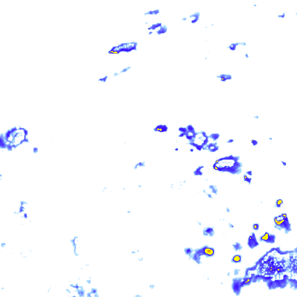 Image Layer