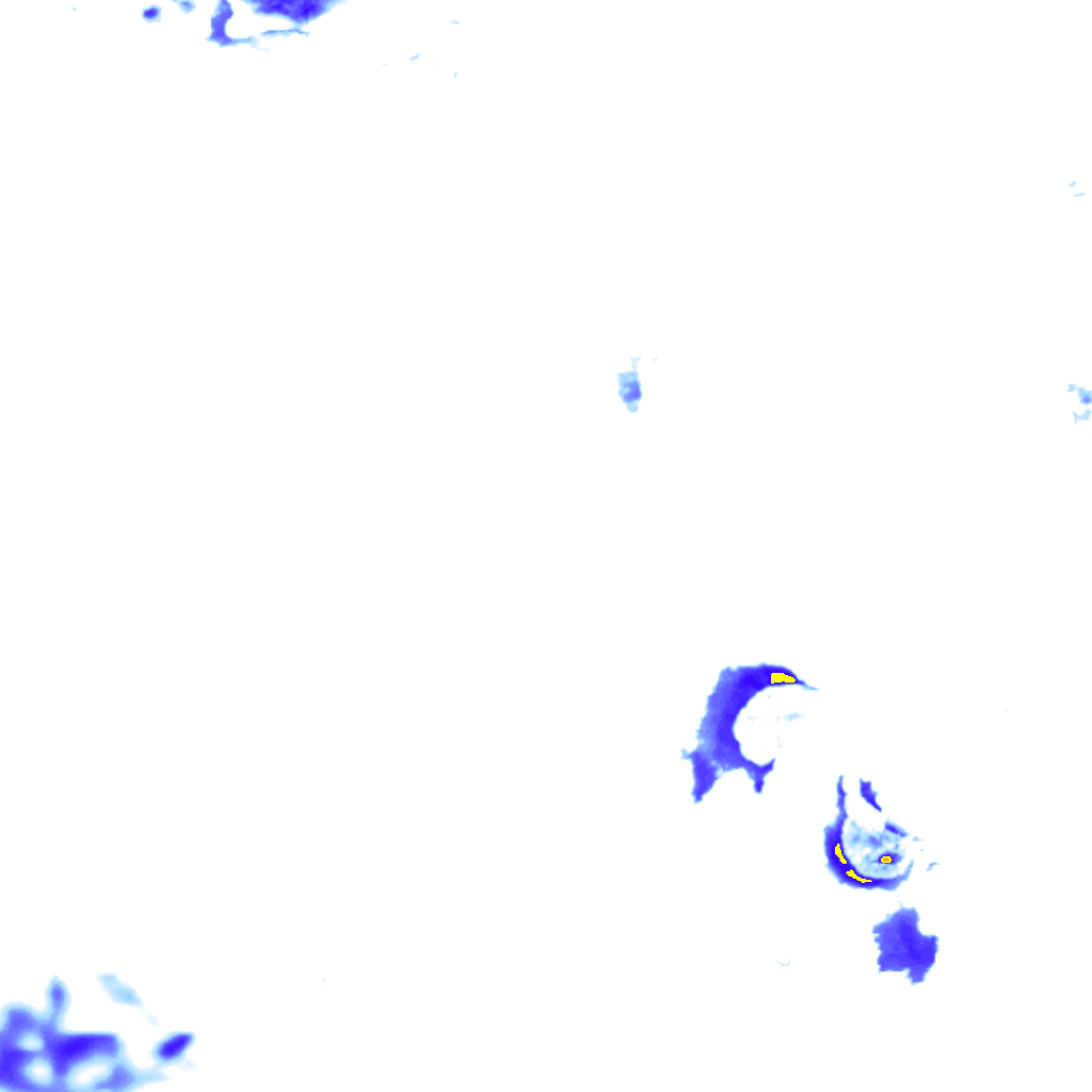 rainLayer