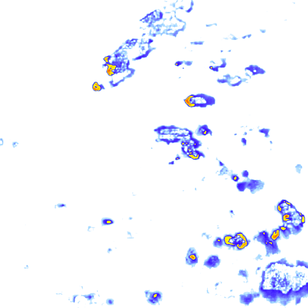 Image Layer