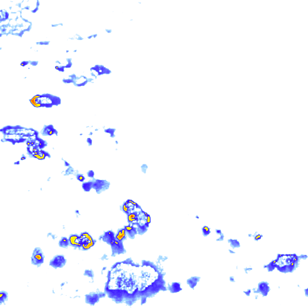Image Layer