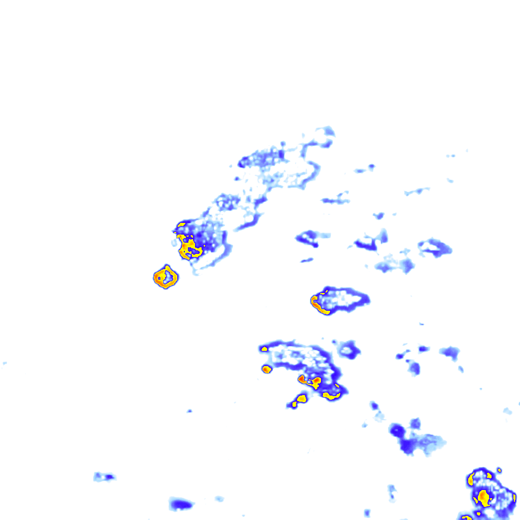 rainLayer