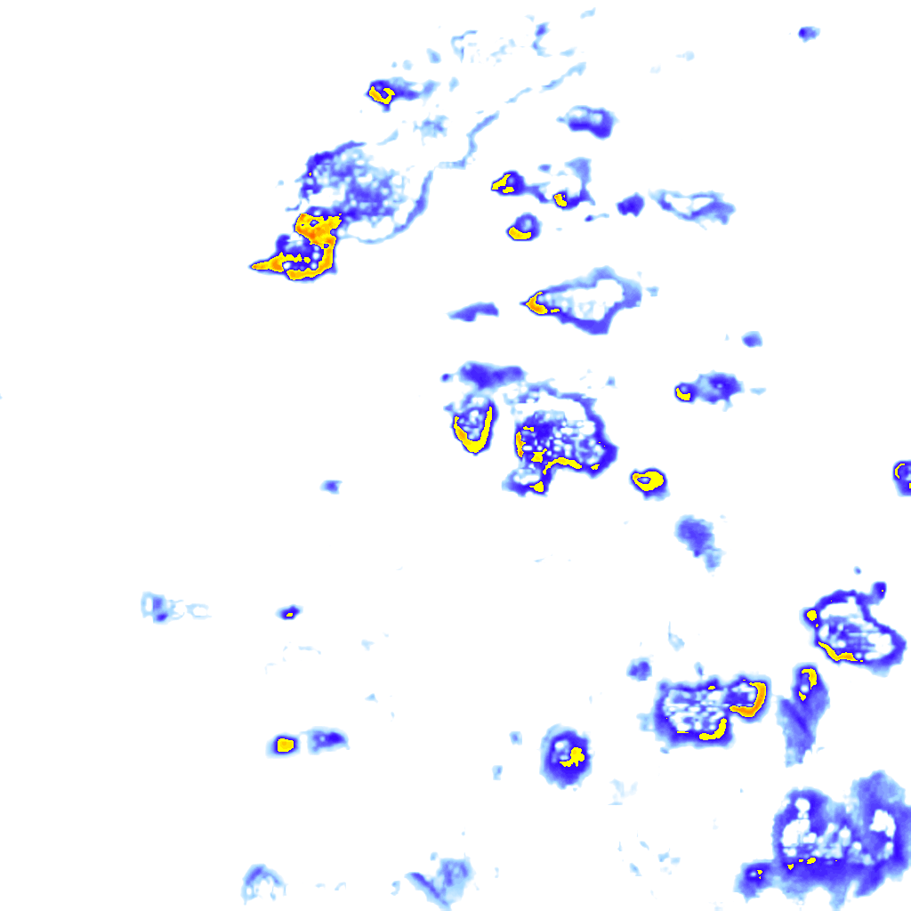 Image Layer