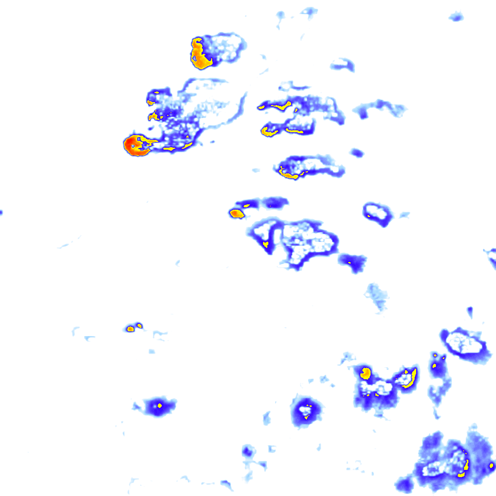 rainLayer