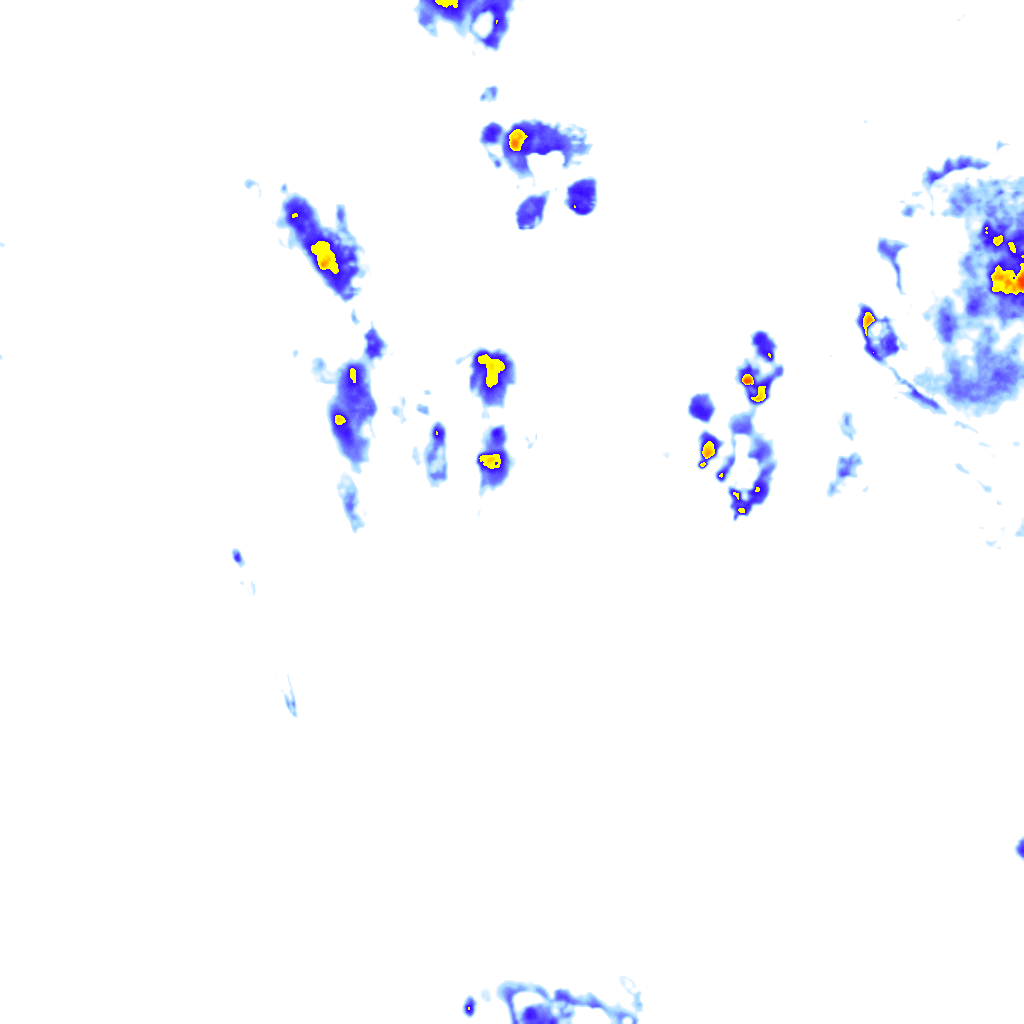 rainLayer