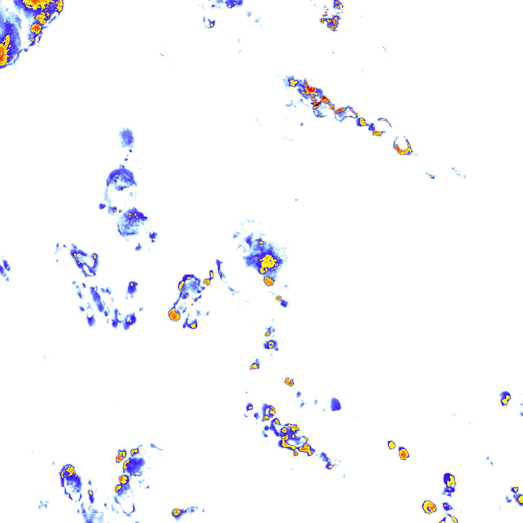 rainLayer