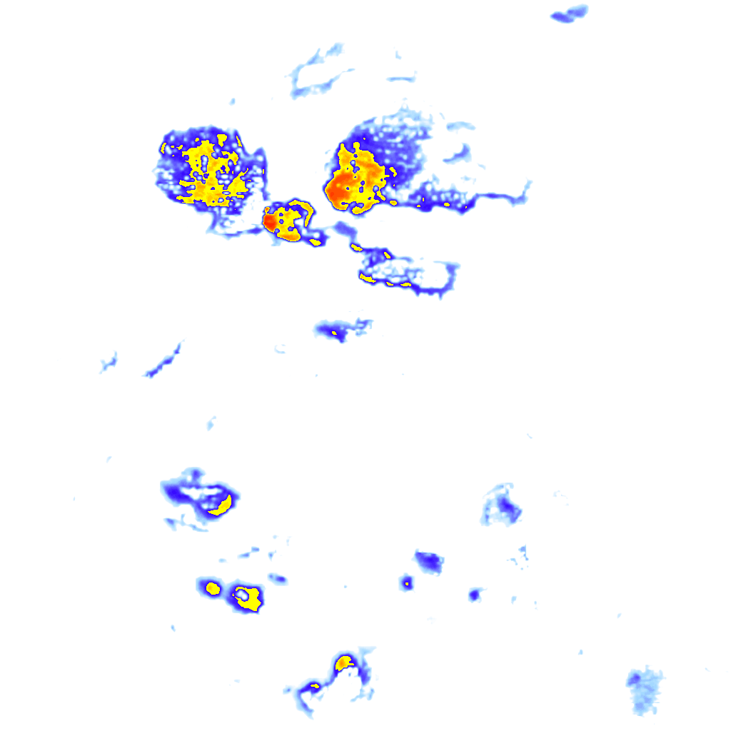 rainLayer