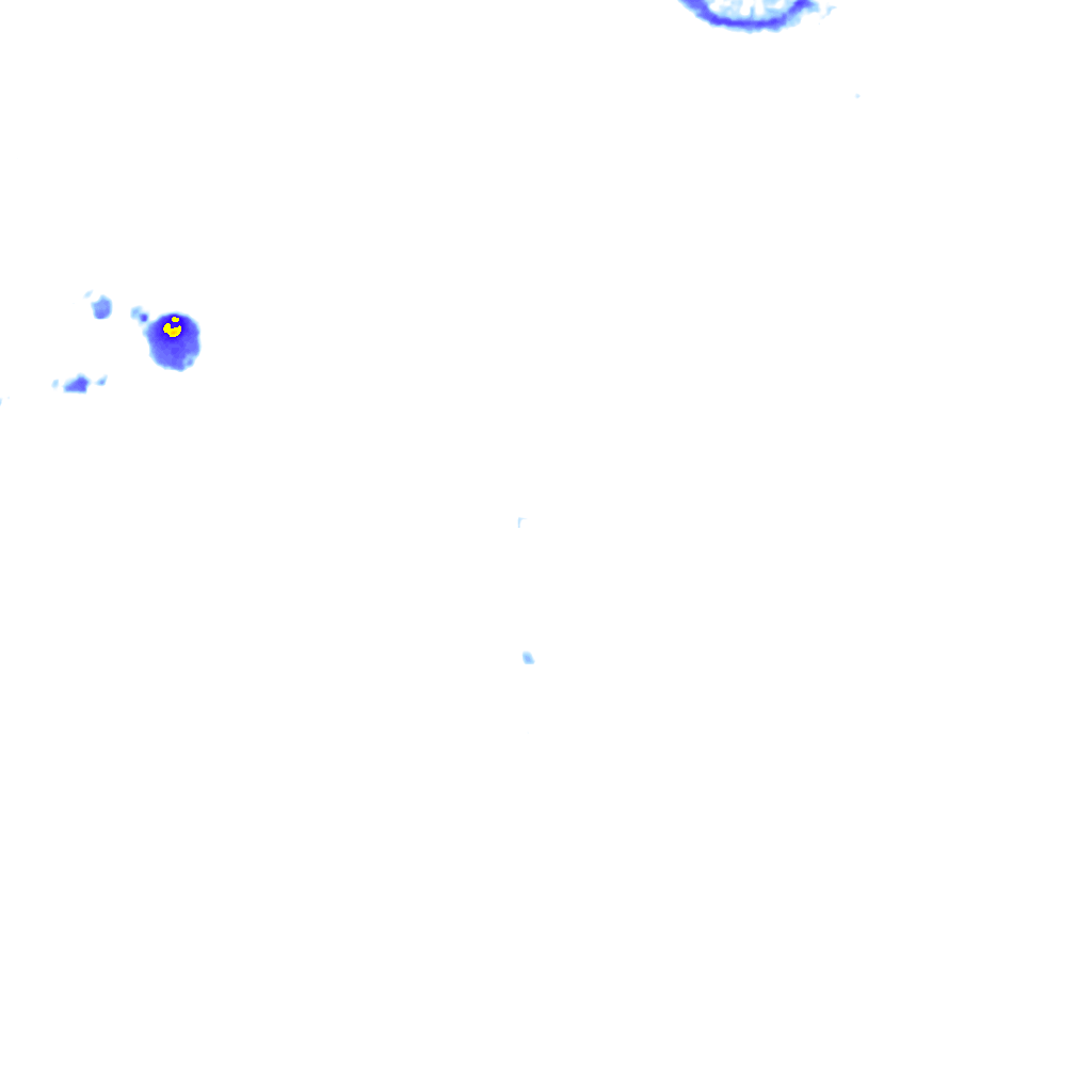 rainLayer
