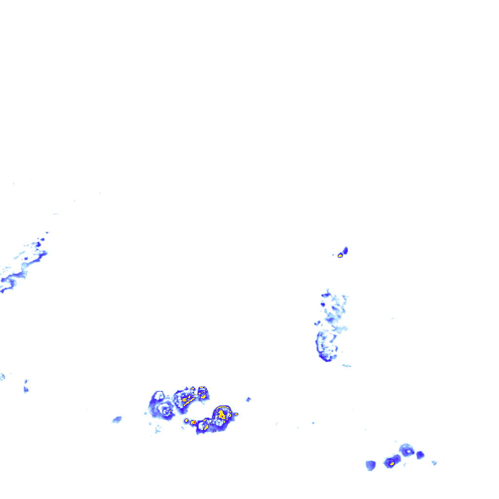rainLayer