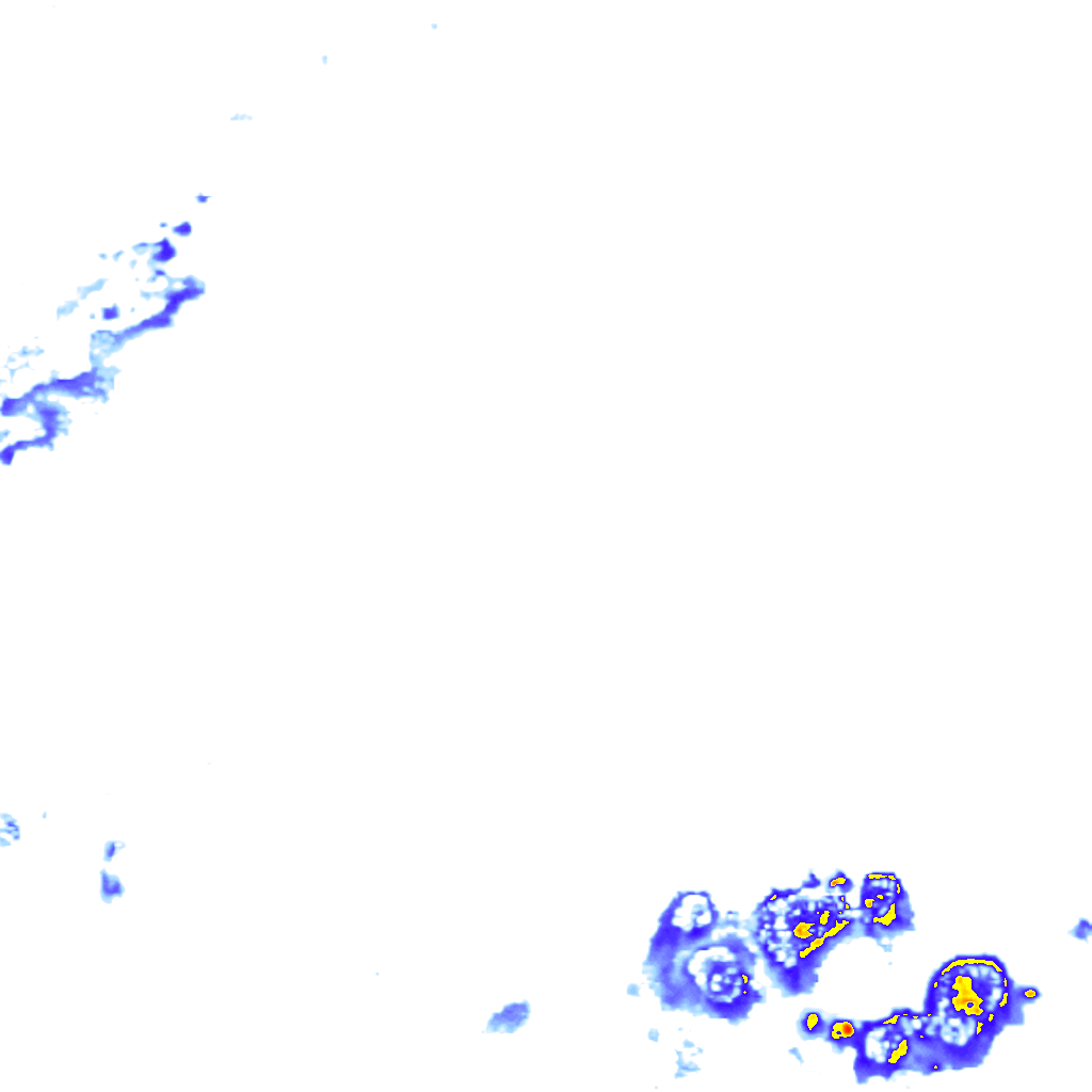rainLayer