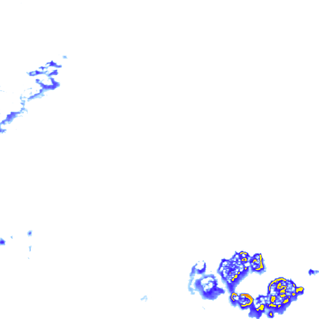 rainLayer