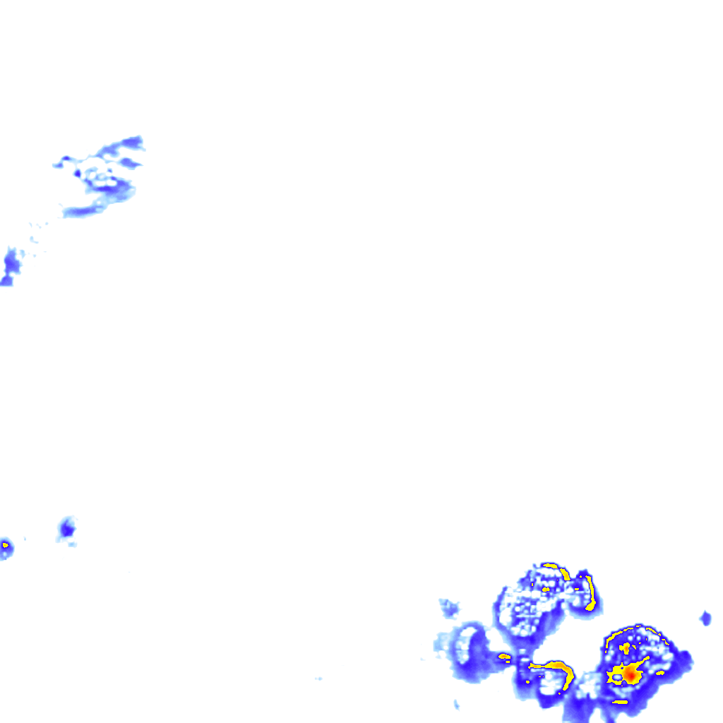 Image Layer