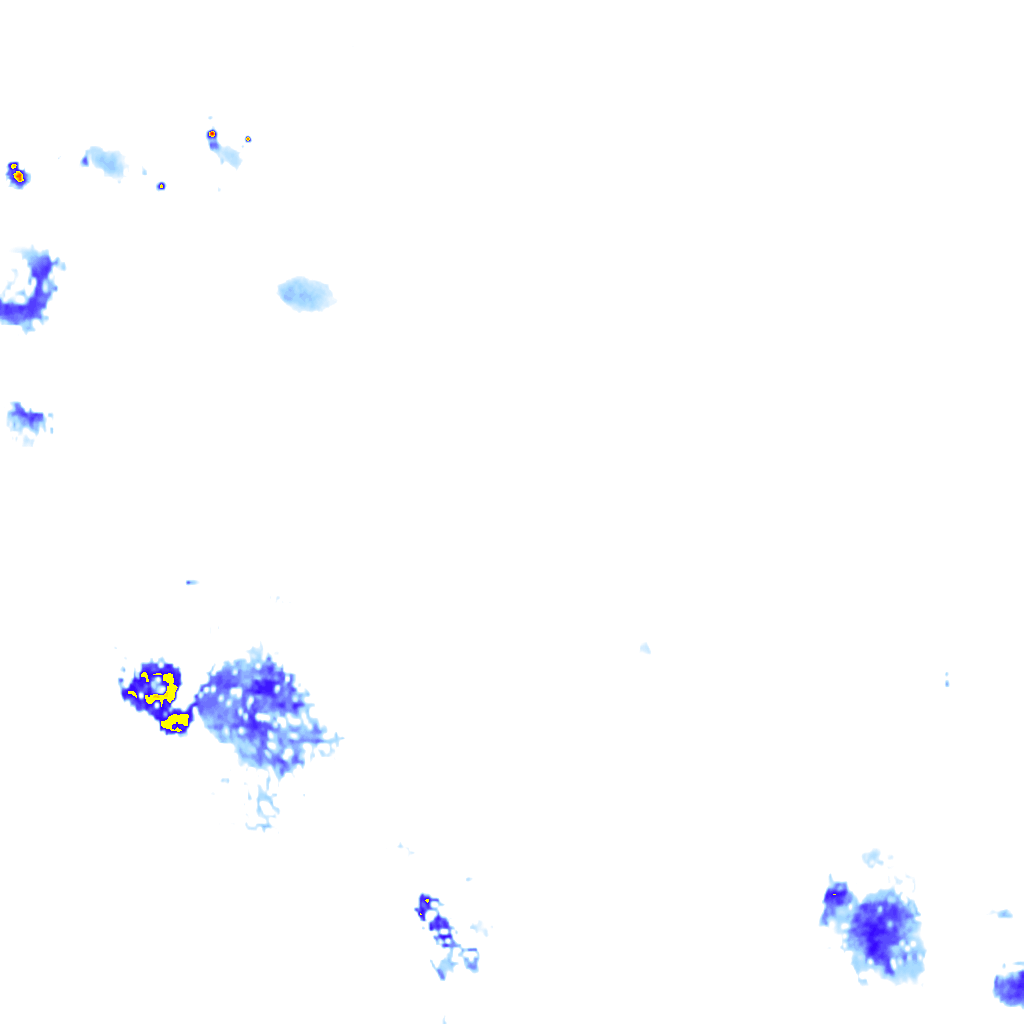 rainLayer