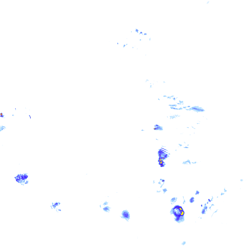 rainLayer