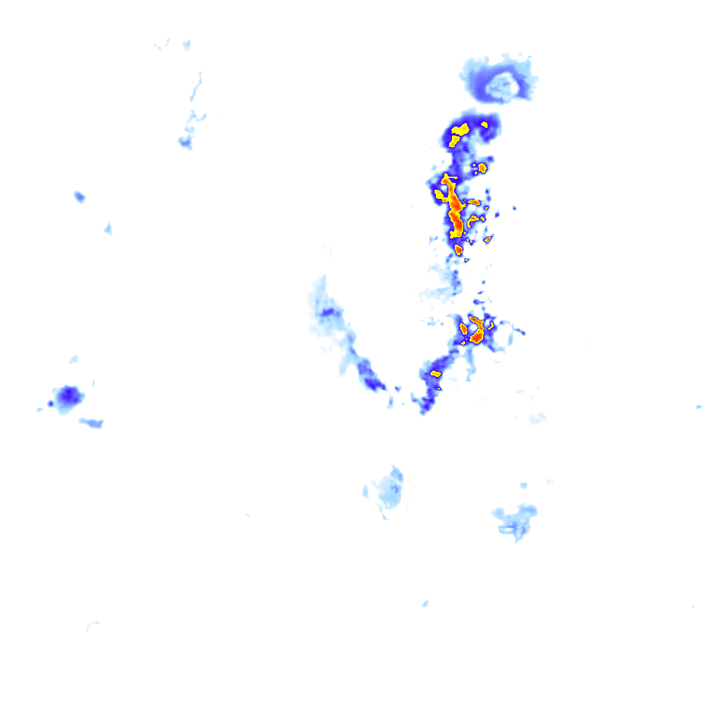 rainLayer