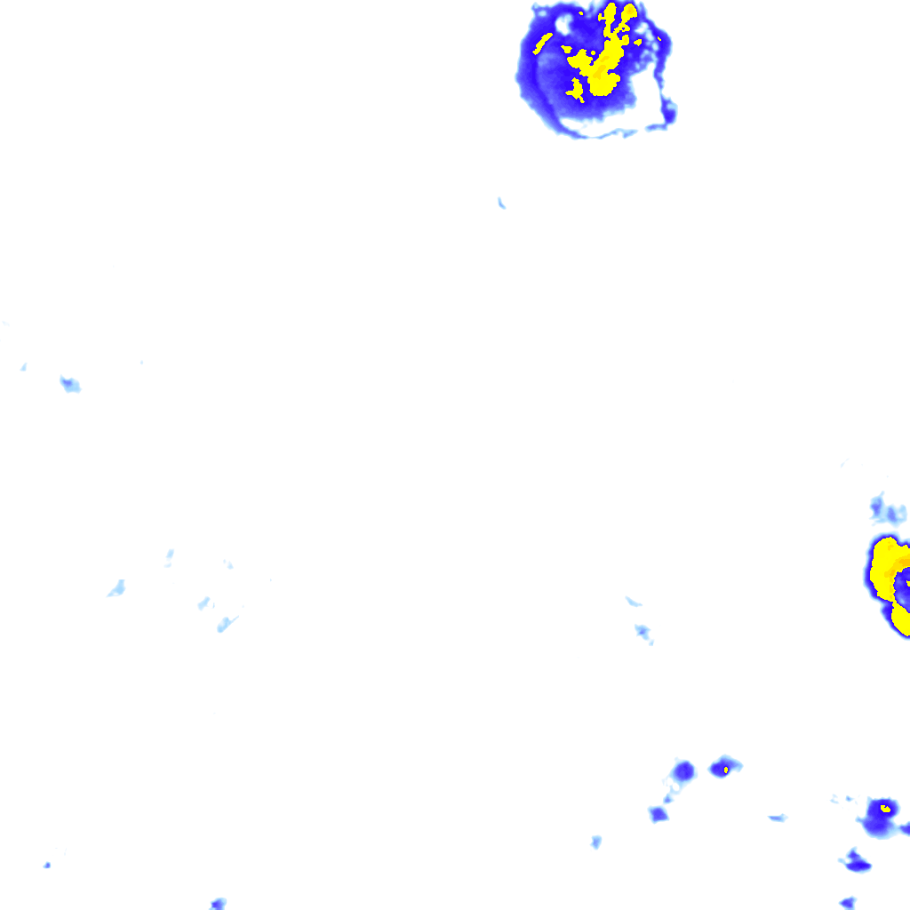 rainLayer