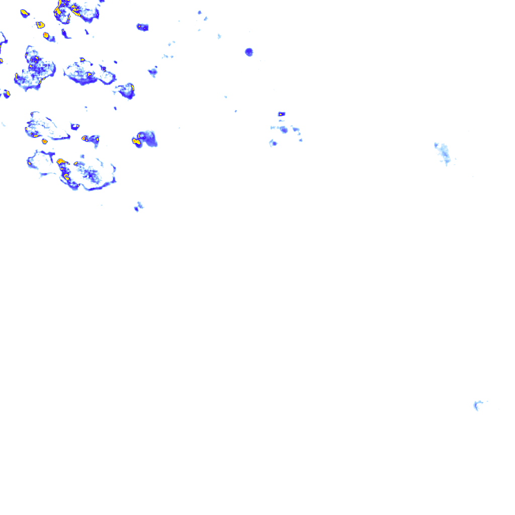 rainLayer