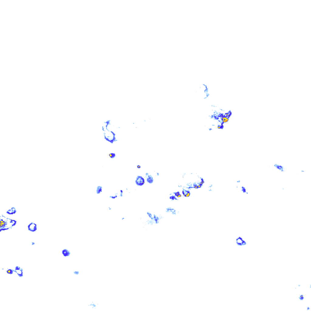 rainLayer