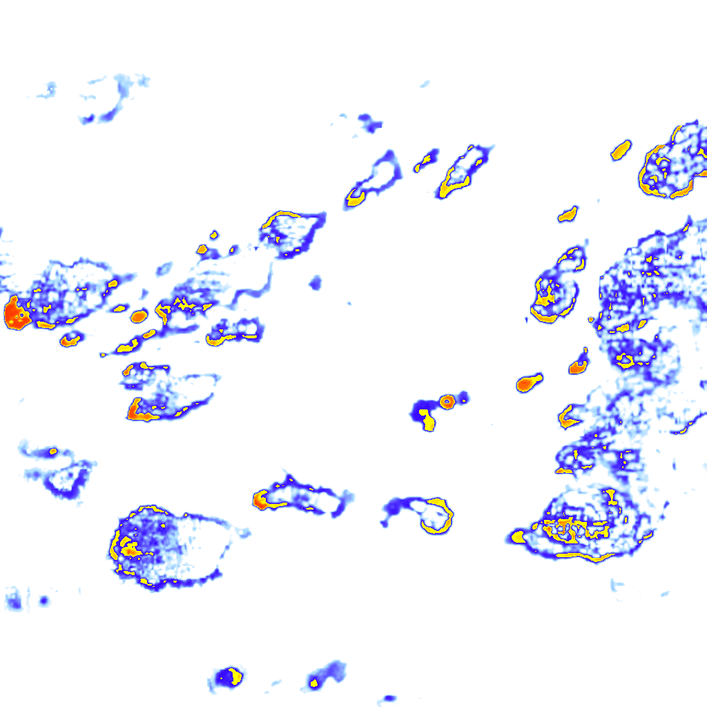 rainLayer
