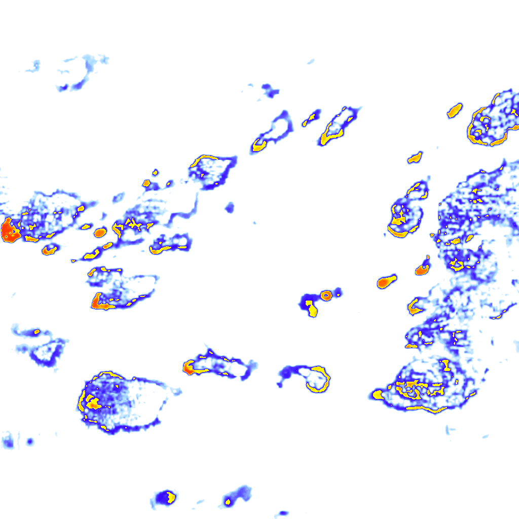 rainLayer