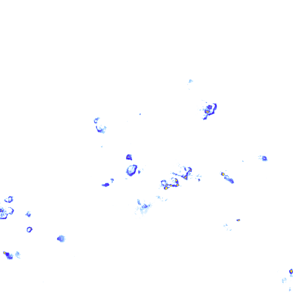 rainLayer