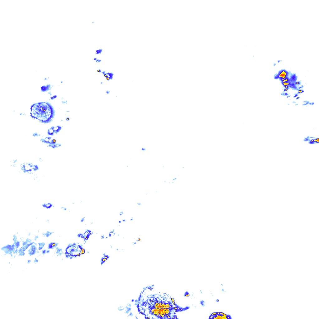 rainLayer