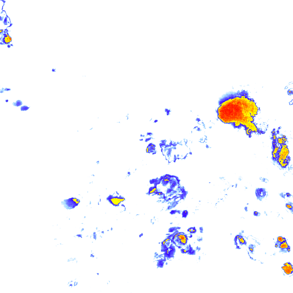 rainLayer