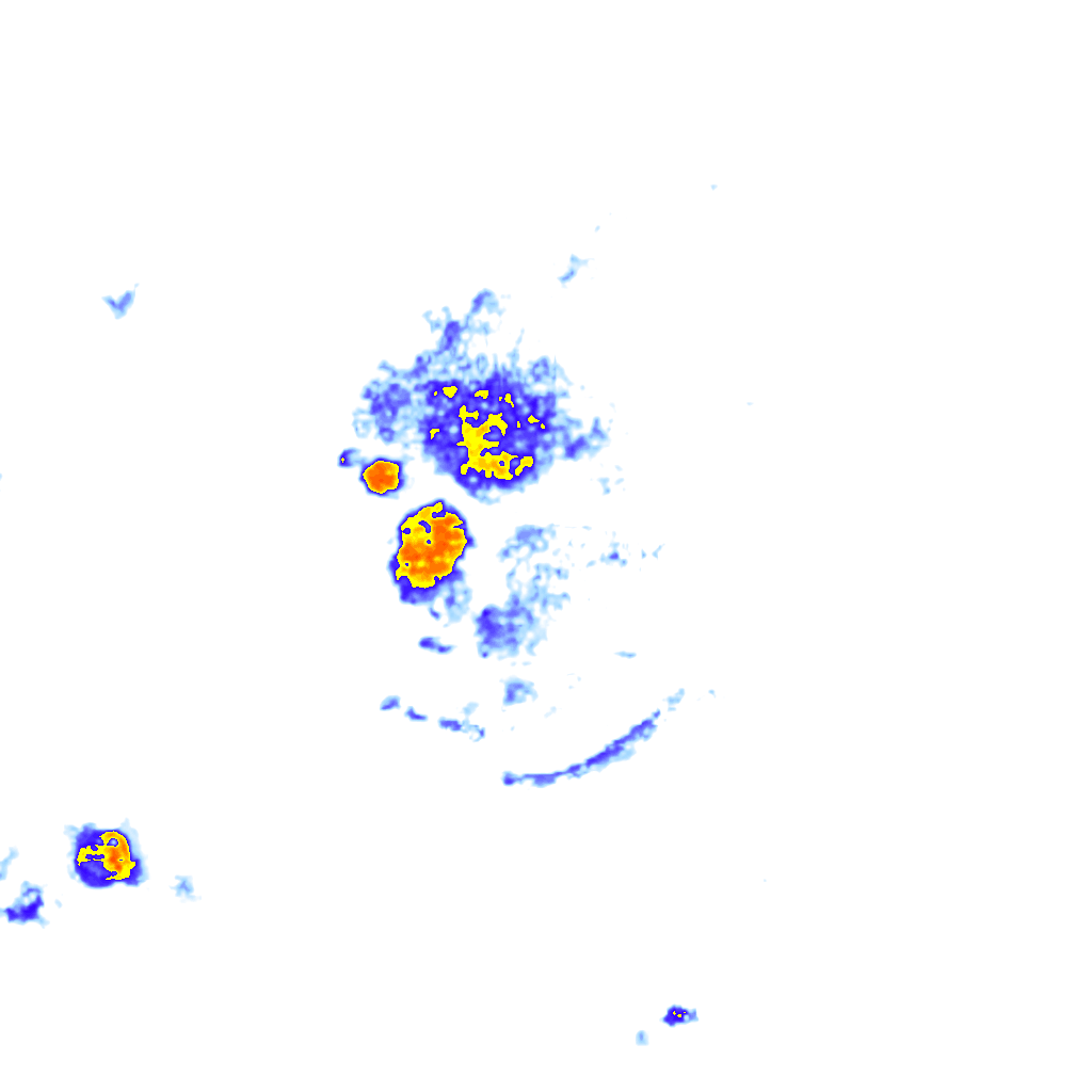 rainLayer