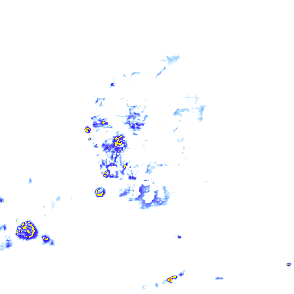 rainLayer