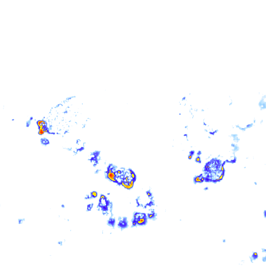 rainLayer