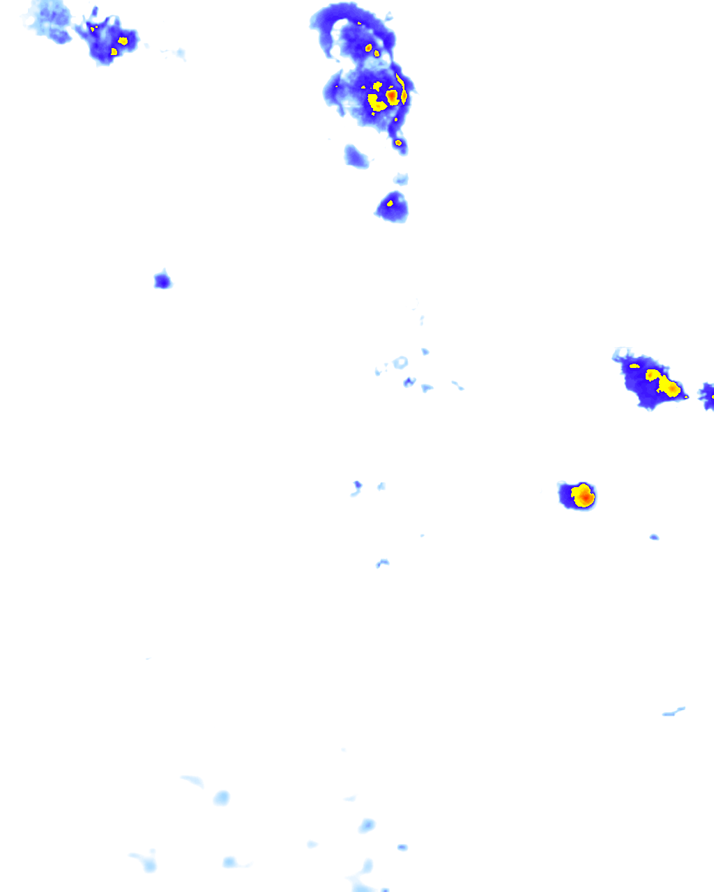 rainLayer