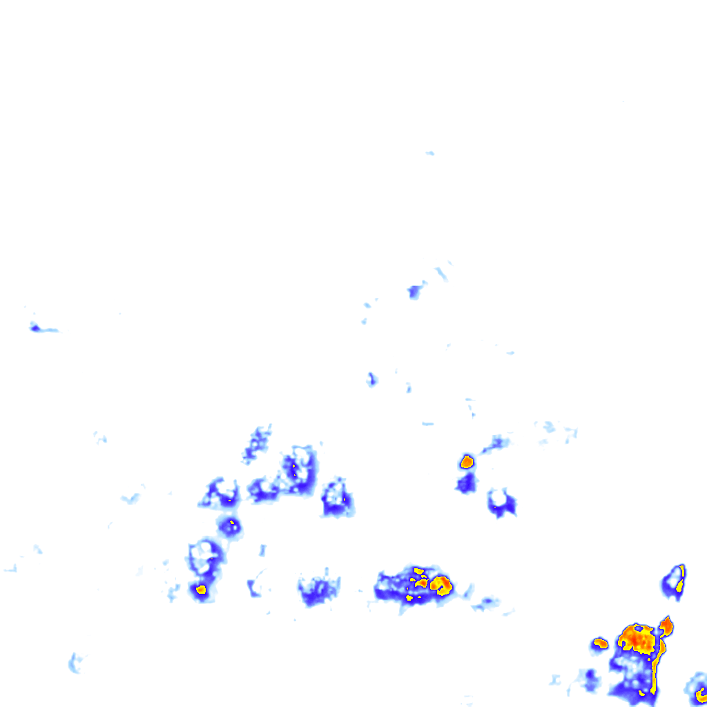 rainLayer