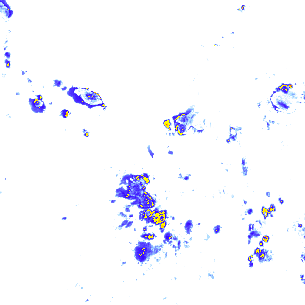 rainLayer