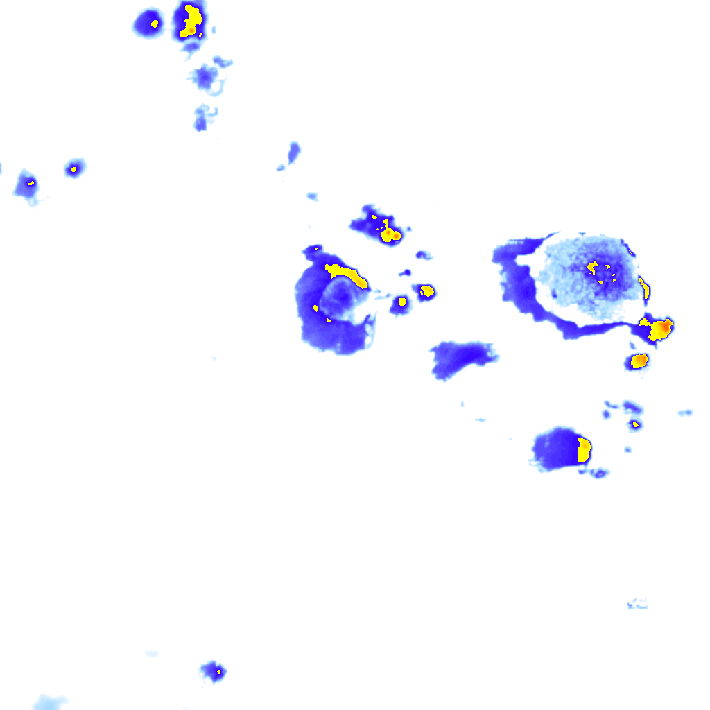 Image Layer