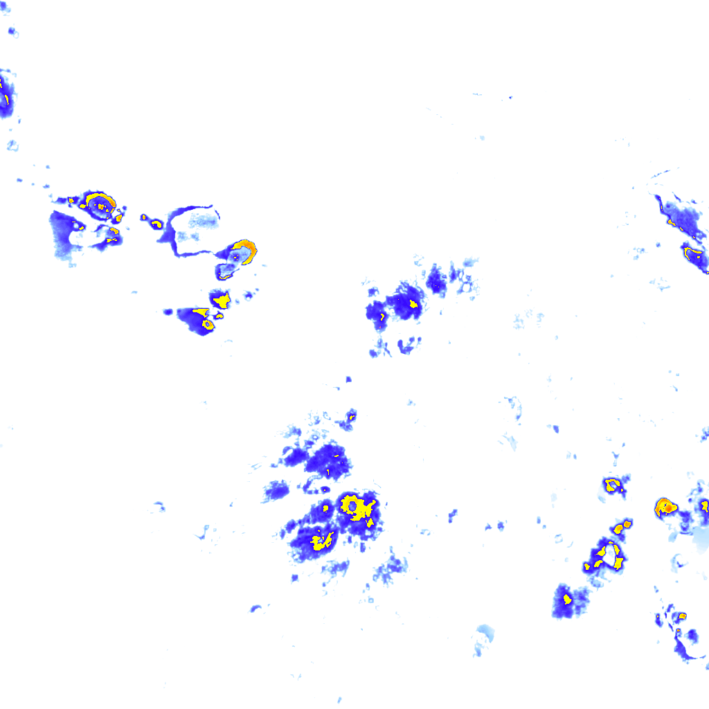rainLayer