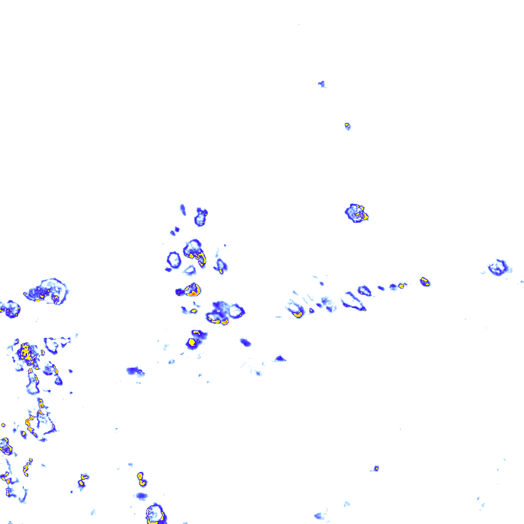 rainLayer