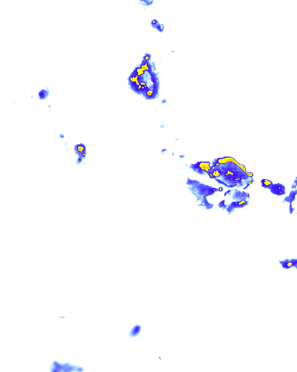 rainLayer
