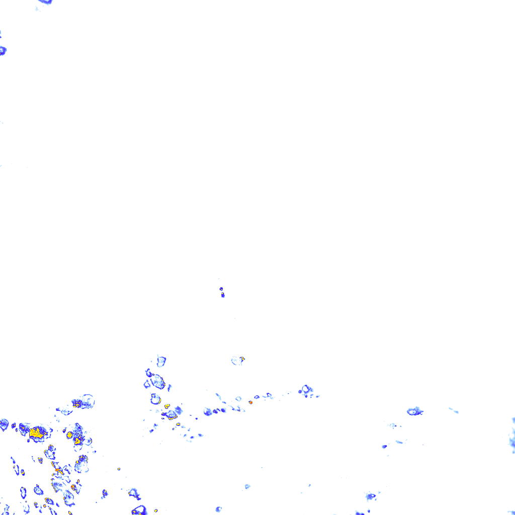 rainLayer