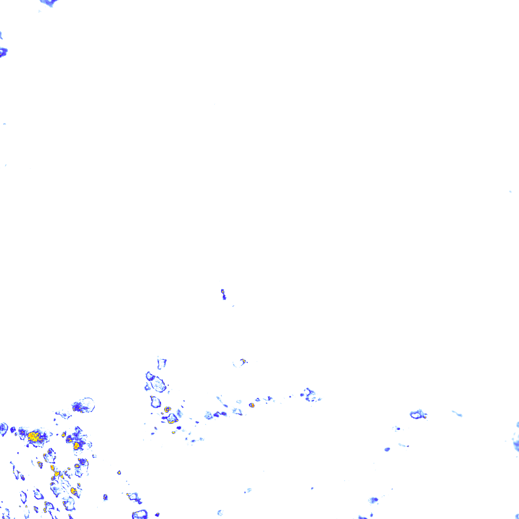 rainLayer