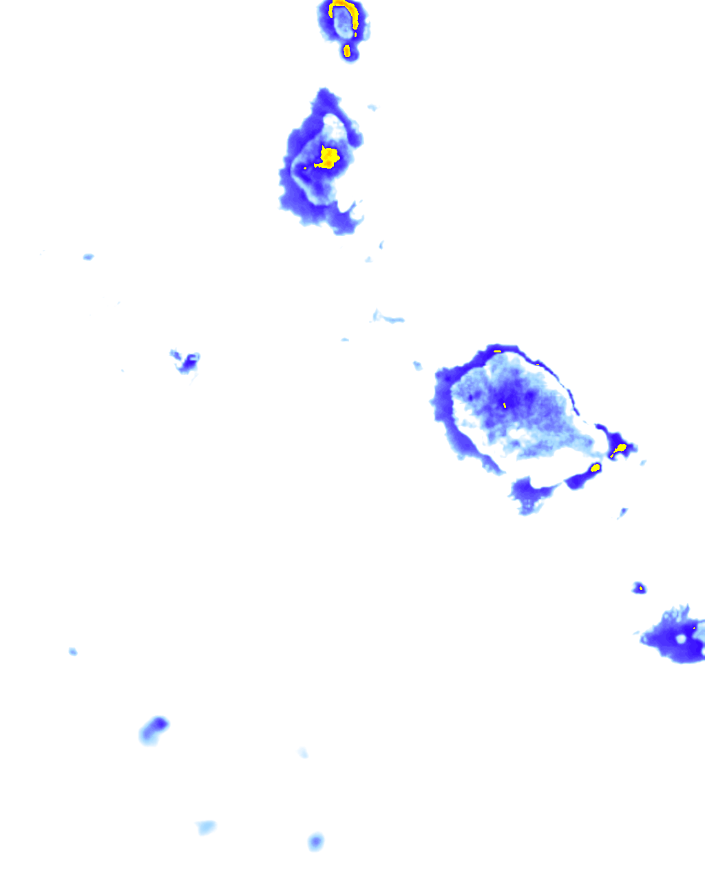 rainLayer