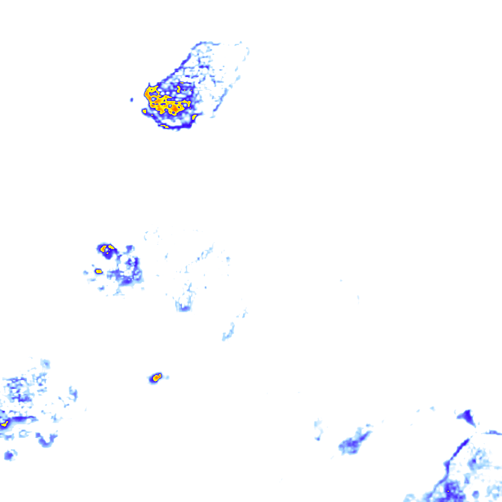 rainLayer
