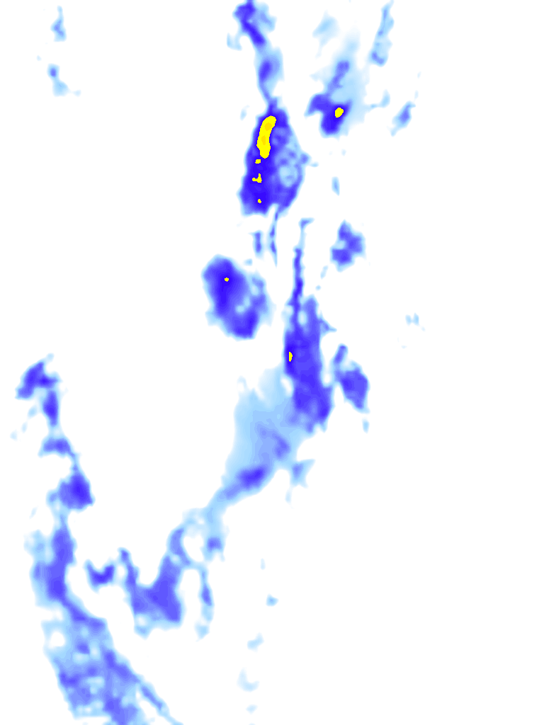 rainLayer